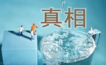 真相的观后感7篇