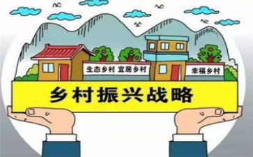 2024年乡村振兴心得体会范文7篇