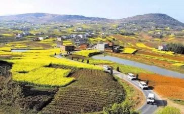 2024年乡村振兴个人总结通用6篇