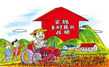 2024乡村振兴个人总结报告6篇