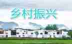 助力乡村振兴的调研报告6篇