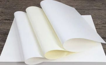 介绍纸的作文优秀8篇