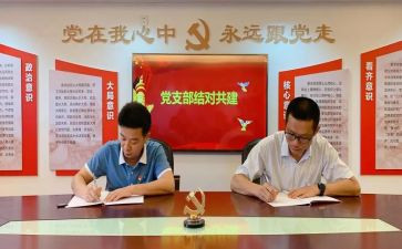 2024年公司党支部述职报告8篇