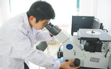 2024质量月活动总结报告6篇