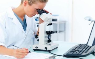 质量室工作计划最新8篇