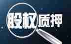质押借款合同7篇