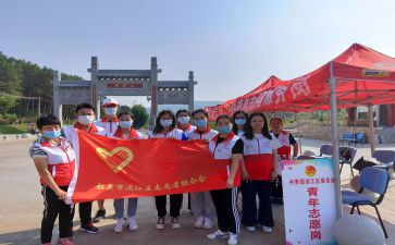小学生志愿者活动方案7篇