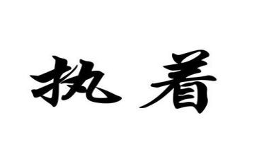 执着800作文模板6篇
