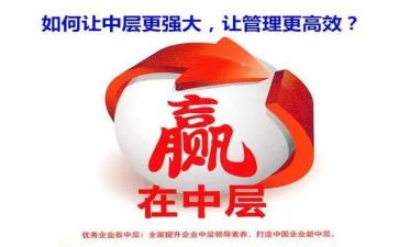 2024年中层述职报告精选6篇