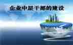 2024年中层述职报告优秀8篇