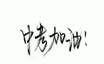 中考百日演讲稿通用7篇