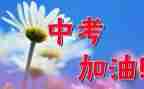 中考来了作文600字精选8篇