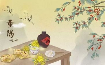 重阳领导讲话稿6篇