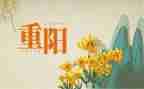 社区重阳节活动策划8篇