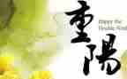 重阳节活动策划最新6篇