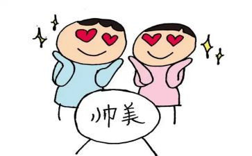 追星的作文600字7篇