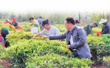 助农产品调查报告5篇
