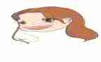 小学作文我的自画像作文5篇