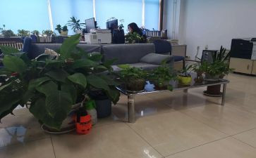 综合部工作总结范文8篇