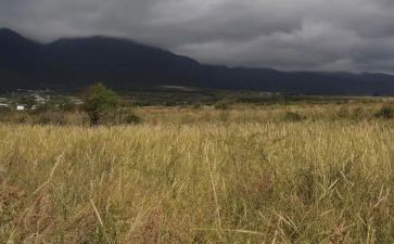 简单租赁房屋合同8篇