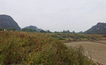 房屋租赁合同通用8篇